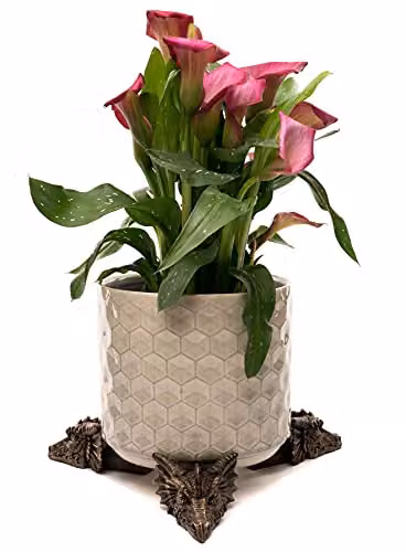 Jardinopia Dragon Themed Ornamental Plant Pot Feet, Bronze, Set of 3, W8 x D6.5 x H6 cm – 4