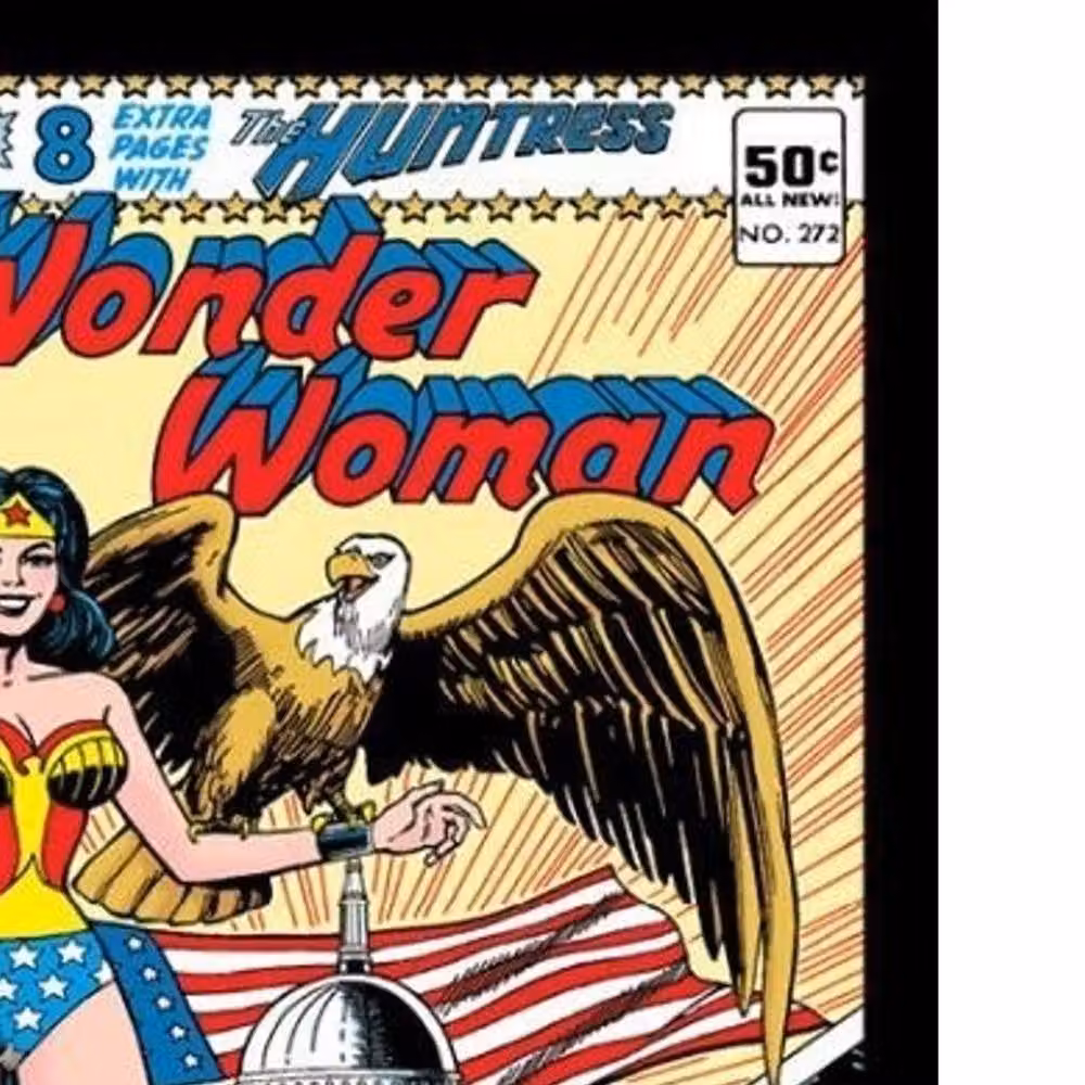 Wonder Woman Eagle Print Multicolour Paper Poster Illustration – 2