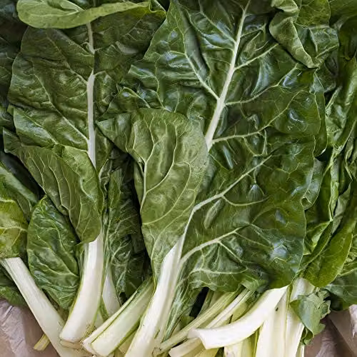 Thompson and Morgan Swiss Chard Fordhook Giant Vegetable Seeds, 300 Seeds – 2