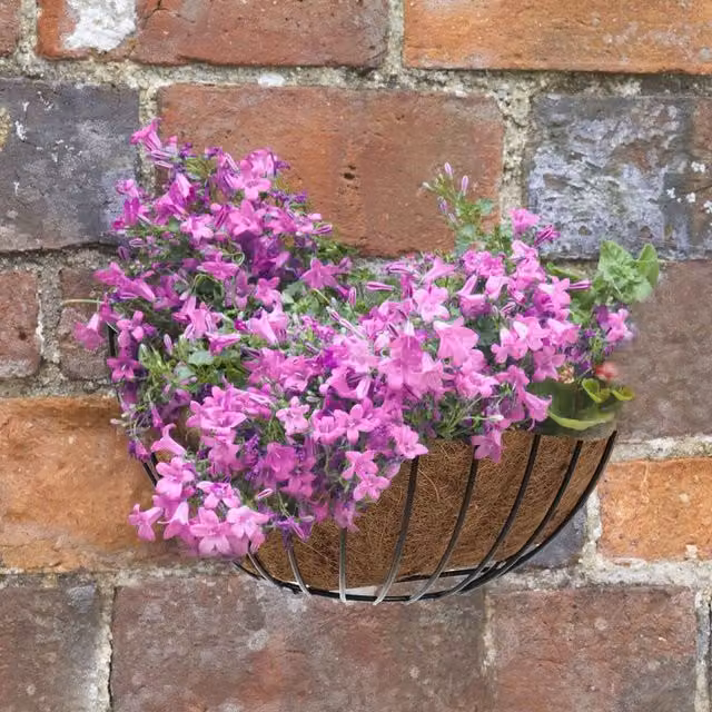 Garden Mile 16 inch Black Wall Hanging Planter Basket with Integral Coco Liner