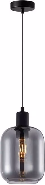 Netlighting Zona Dome Pendant Ceiling Light in Black with Transparent Glass and Height Adjustable Design