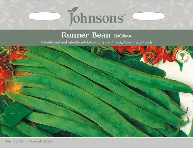 Johnsons Enorma Phaseolus Coccineus Runner Bean Vegetable Seeds