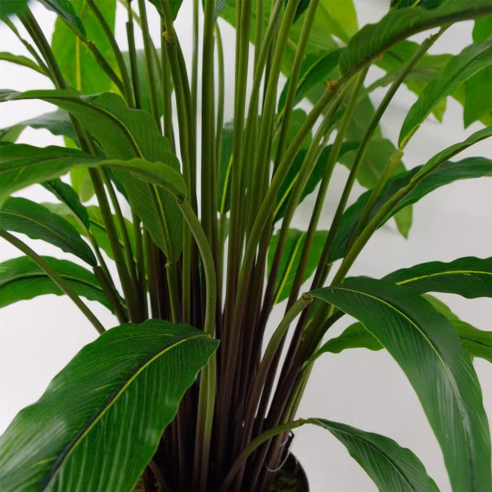 Leaf Design UK 60cm Potted Artificial Green Calathea Plant – 4