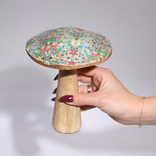 Serenityy Medium Multicolour Wooden Mushroom Tabletop Ornament with Pastel Hearts