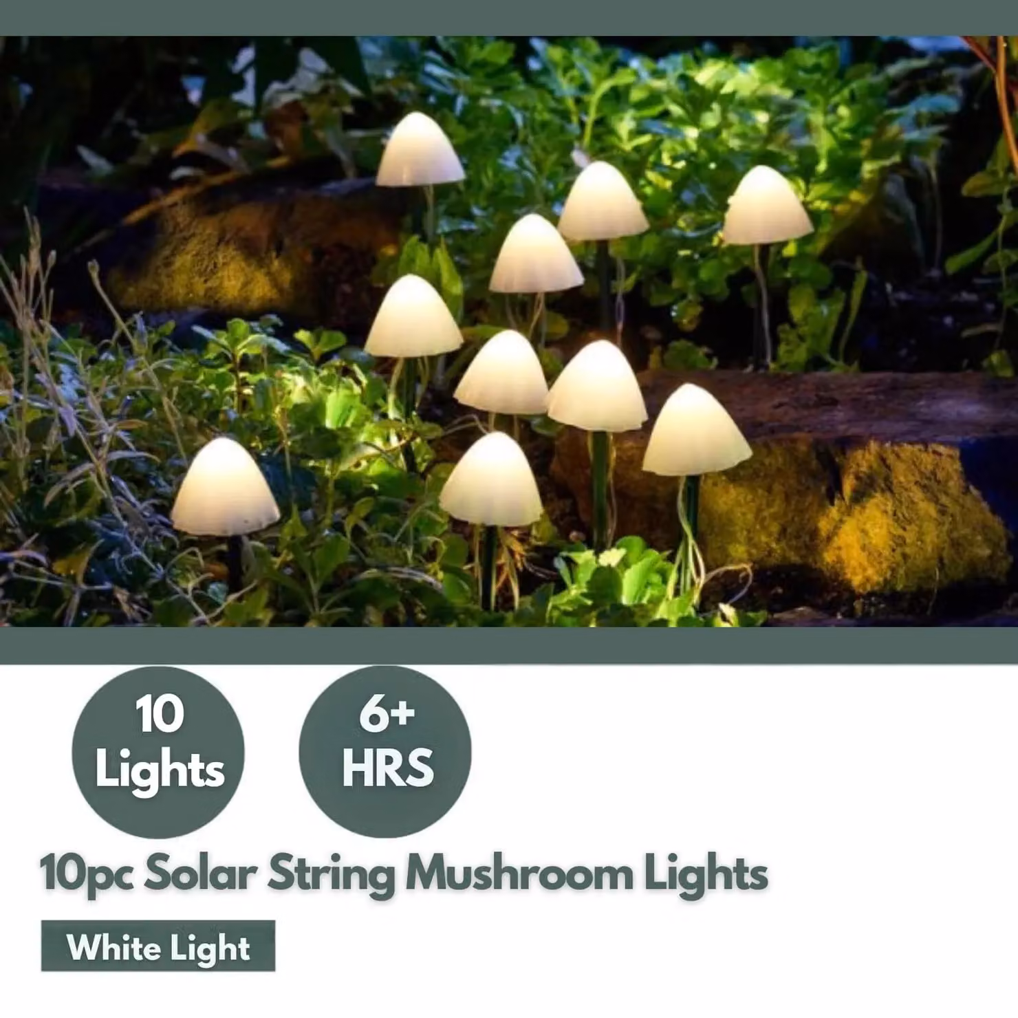 Marco Paul 10pc Solar Mushroom LED Stake Lights in White with Warm White Glow – 5