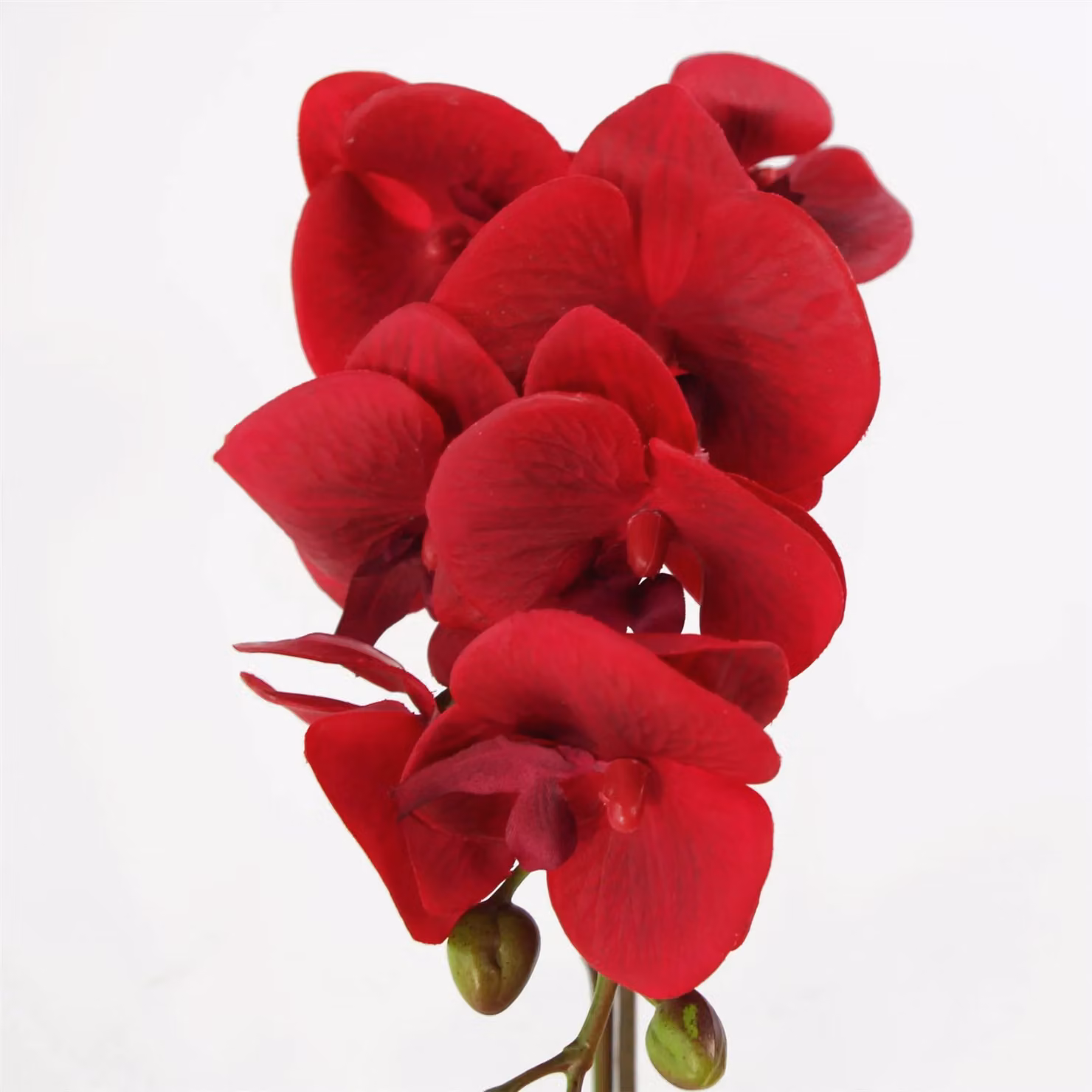 Leaf Design UK Realistic Artificial Red Orchid in a Silver Pot, Height: 46 cm – 2