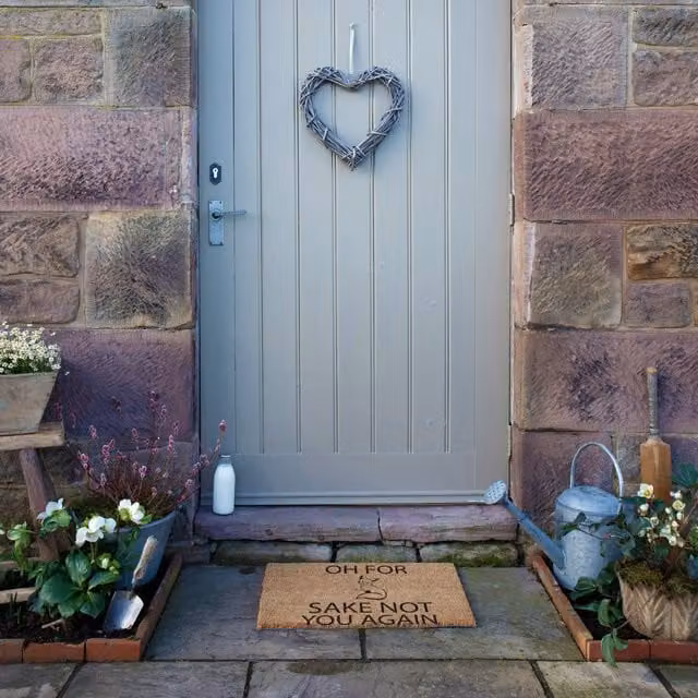Artsy Mats For Fox Sake Non-Slip Coir and Natural Rubber Doormat in Brown