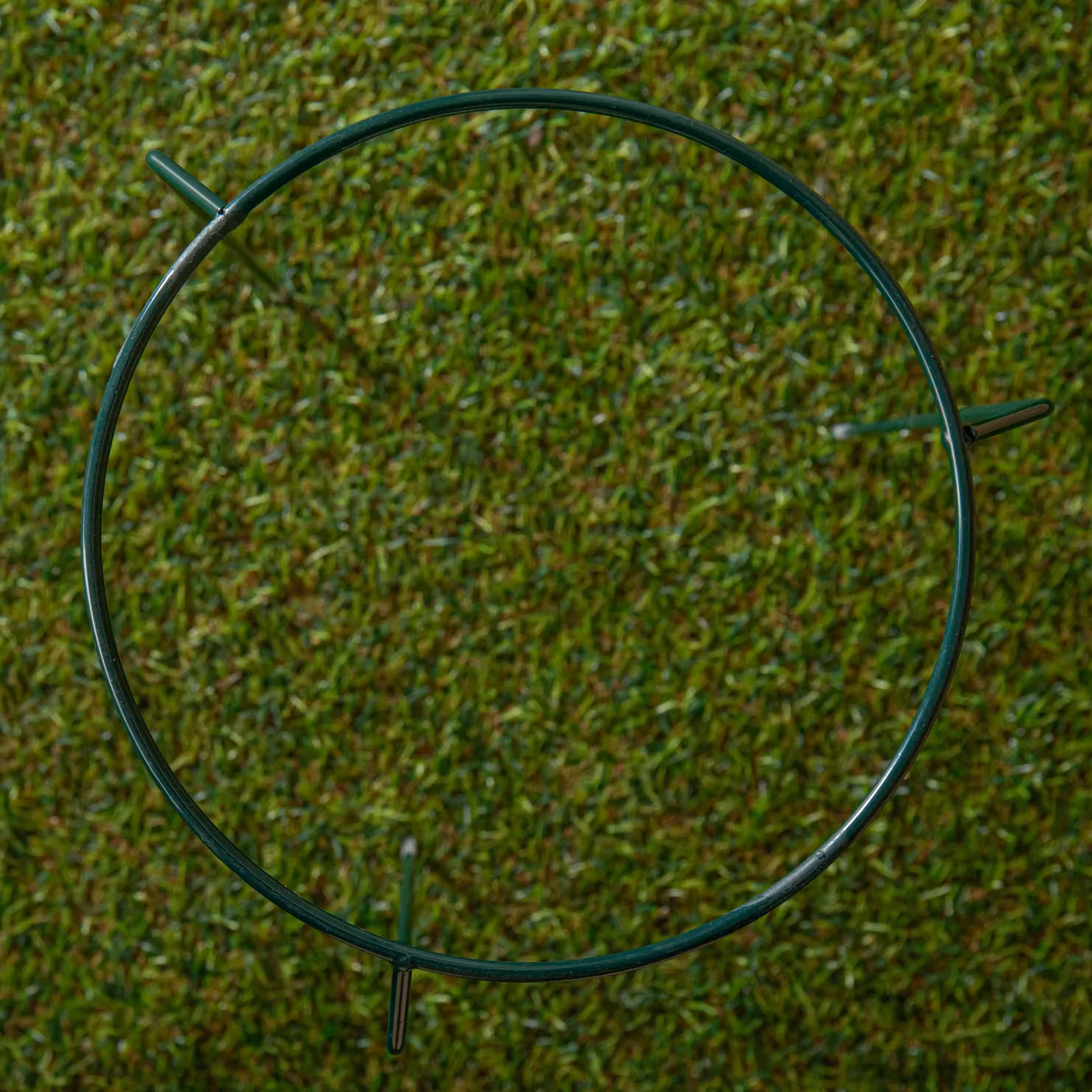 Samuel Alexander Tom Chambers Small Metal Herbaceous Garden Plant Support Ring in Dark Green, W/D/H: 40 x 40 x 20 cm – 3