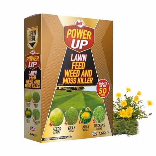 Doff Power Up Lawn Feed, Weed and Moss Killer Granules, 1.6kg