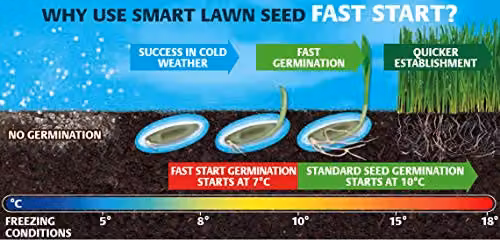 Gro-Sure Aqua Gel Coated Fast Start Smart Grass Lawn Seed, 1 kg – 2