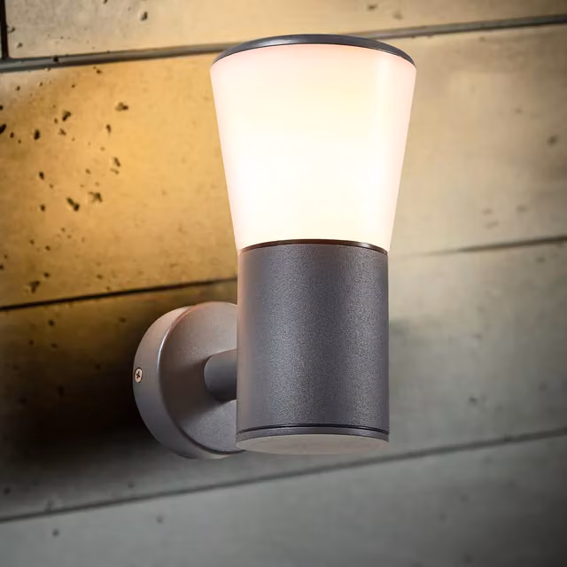 CGC Otis Anthracite Dark Grey Outdoor Wall Light Lantern with Opal Diffuser, E27, IP44