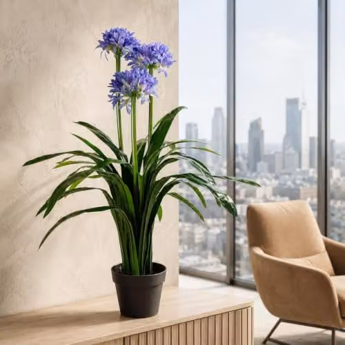 Leaf Premium Artificial Blue Agapanthus with Pot, Height: 90 cm – 2