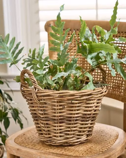 Dibor Traditional Small Lined Wicker Planter Basket with Handles in Grey – 1