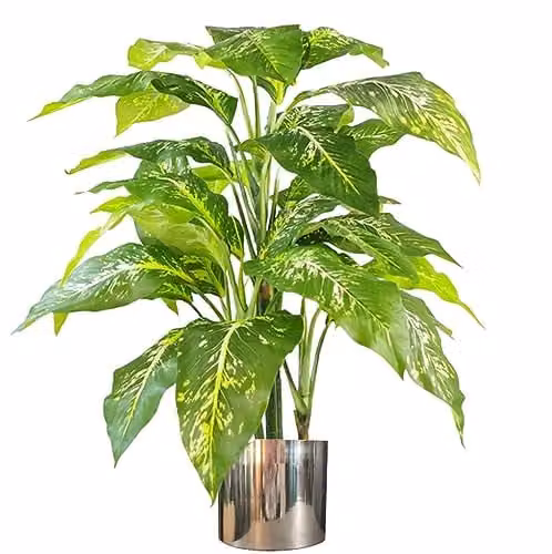 Leaf Large Fox's Aglaonema Artificial Tree with Silver Metal Planter, Green, Height: 100 cm