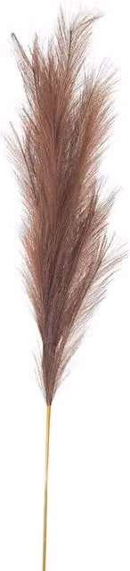 KDMK Large Taupe Faux Pampas Grass Stem in Brown