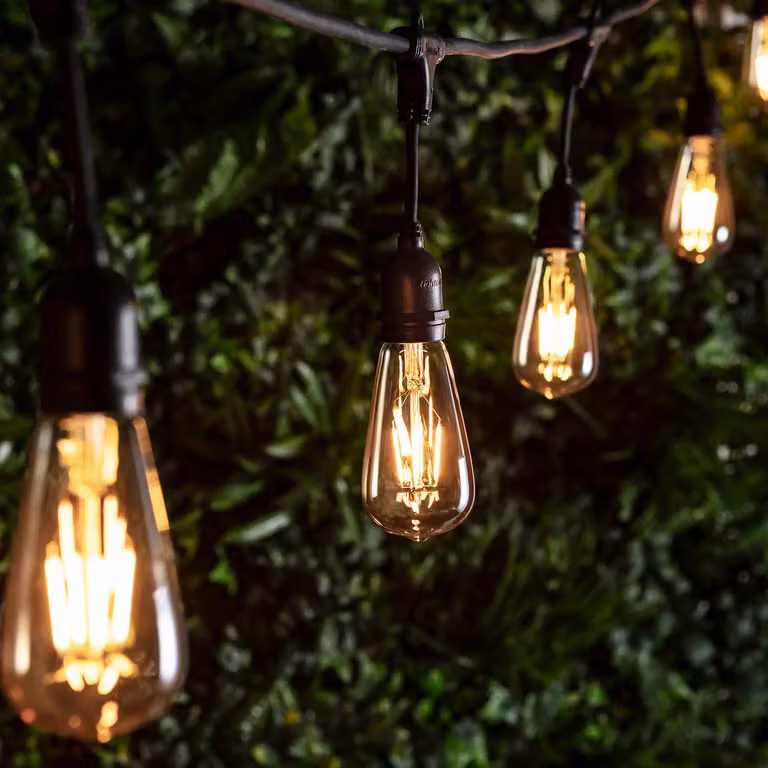 Ingenious Connect 10 Squirrel Cage LED Festoon Light Bundle with Amber Transparent Glass Bulbs and Warm White Light
