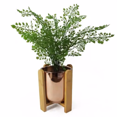 Leaf Design UK Gold Ceramic Planter with Wooden Stand, W/D/H: 15 x 15 x 16 cm – 1