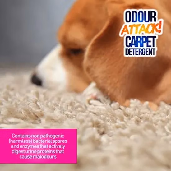 ProKleen Odour Attack Carpet Shampoo Ocean Fresh 1L – 2