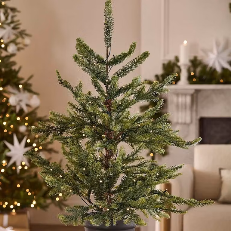 Noma Pre-Lit Nordmann Fir Potted Christmas Tree with Warm White LED Lights, Green, Height: 91 cm