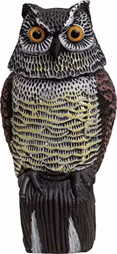 St Helens Home & Garden Life-Sized Decoy Owl with Rotating Head in Multicolour
