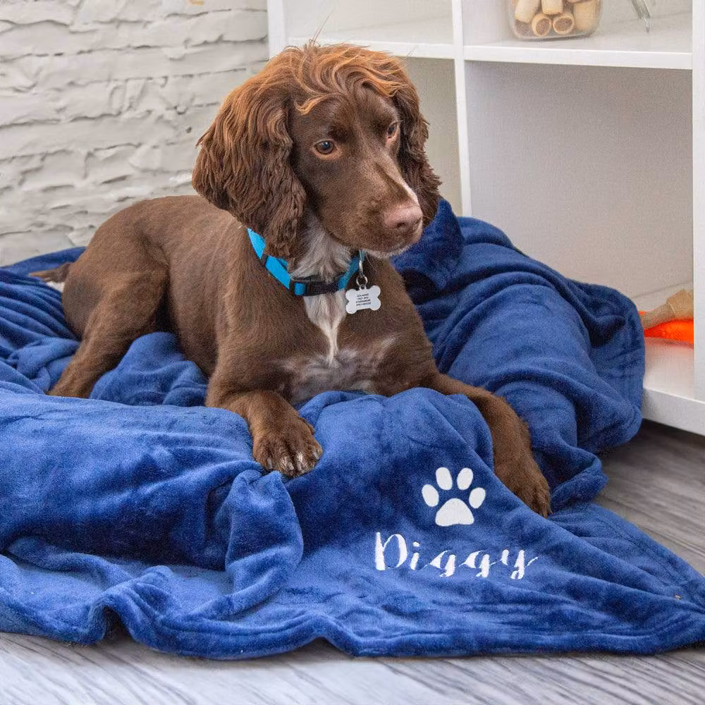Duncan Stewart Personalised Woven Dog Blanket Throw in Light Blue, W/D: 180 x 140 cm – 3