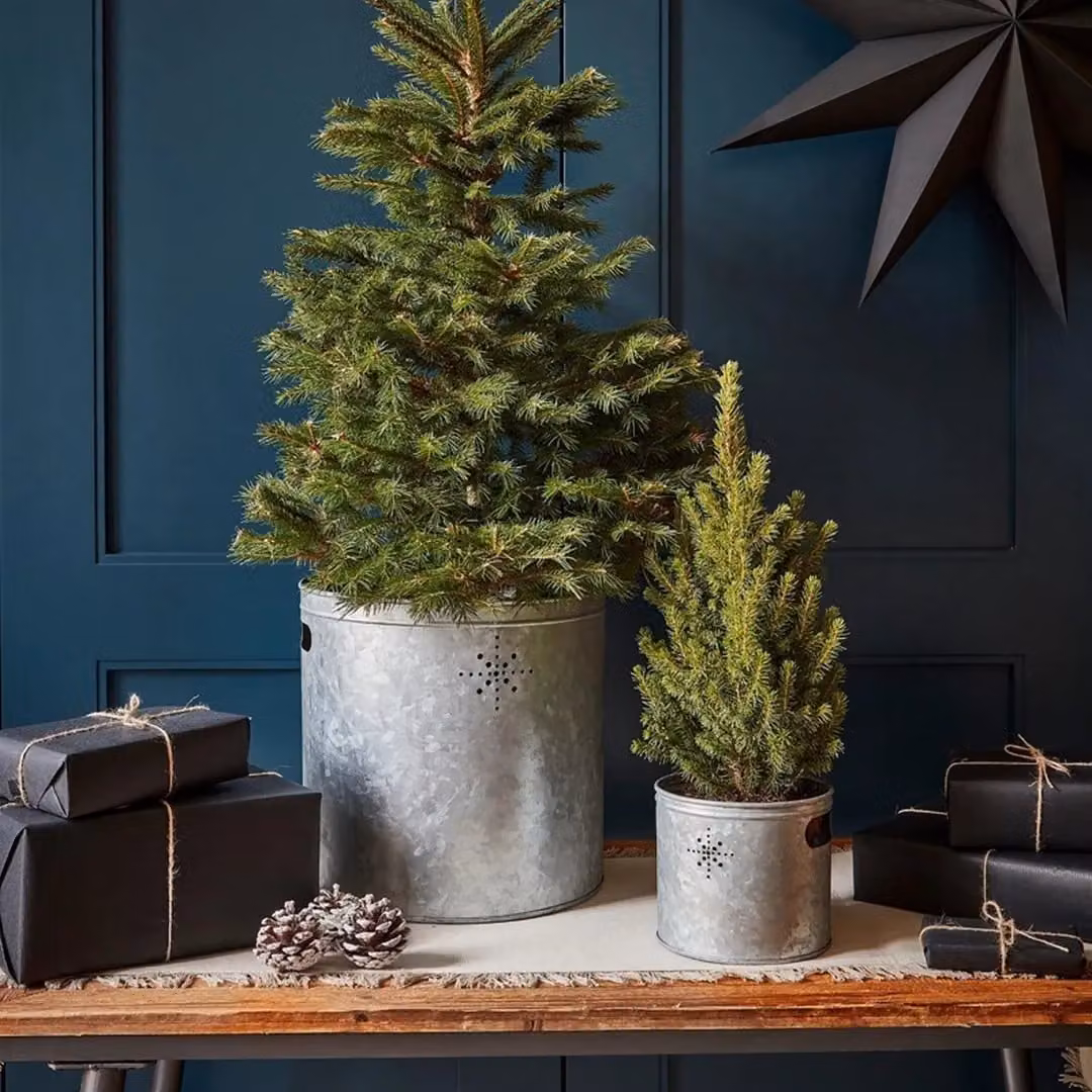 Ivyline Star Indoor Planter in Grey Galvanised Steel, H 28 cm x W 28 cm – 2