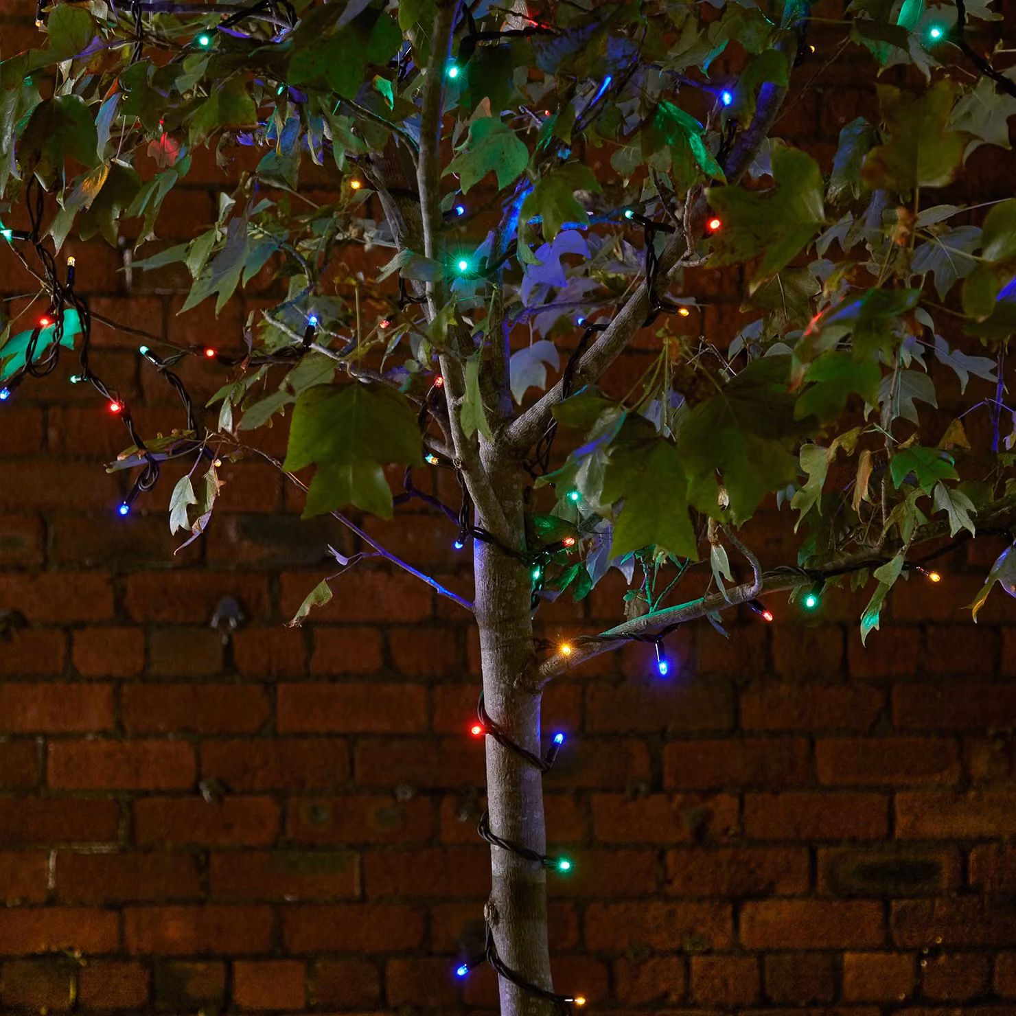 Lights4fun Plus Connect 100m Connectable LED Fairy Lights, Multicoloured with Black Cable