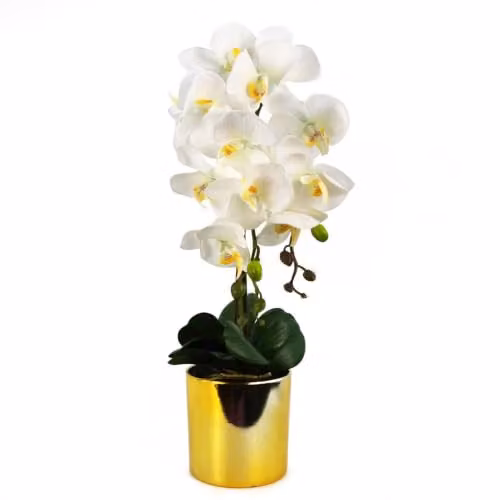 Leaf Design UK Realistic Artificial Orchid Flower Display in Pot, White and Gold, Height: 52 cm – 1