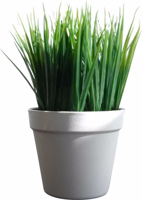 Leaf UK Realistic Artificial Grass Plant in Green, Height: 22 cm – 1