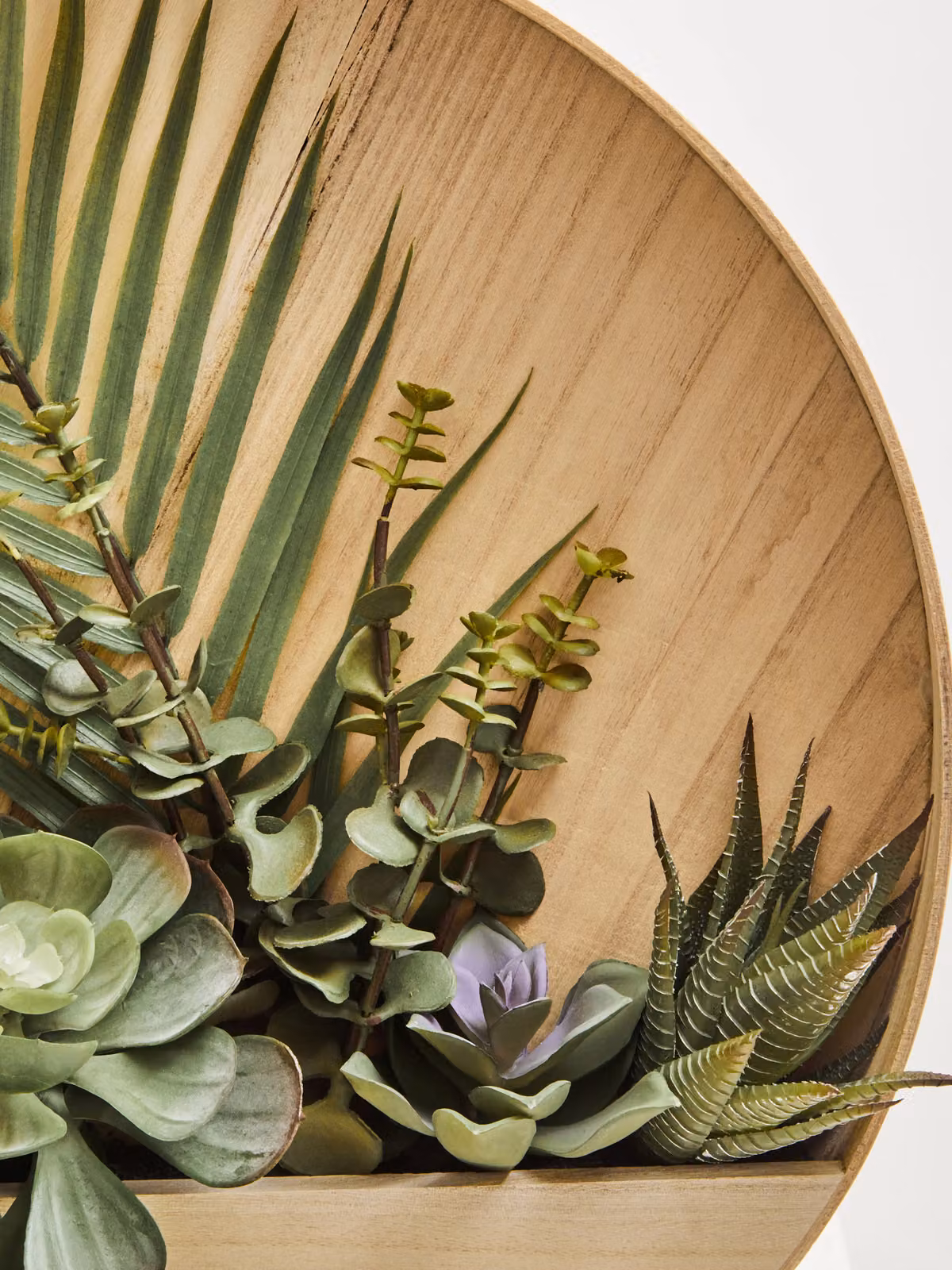 Orsina Fiori Mixed Green Succulents in a Round Wooden Wall Planter – 2