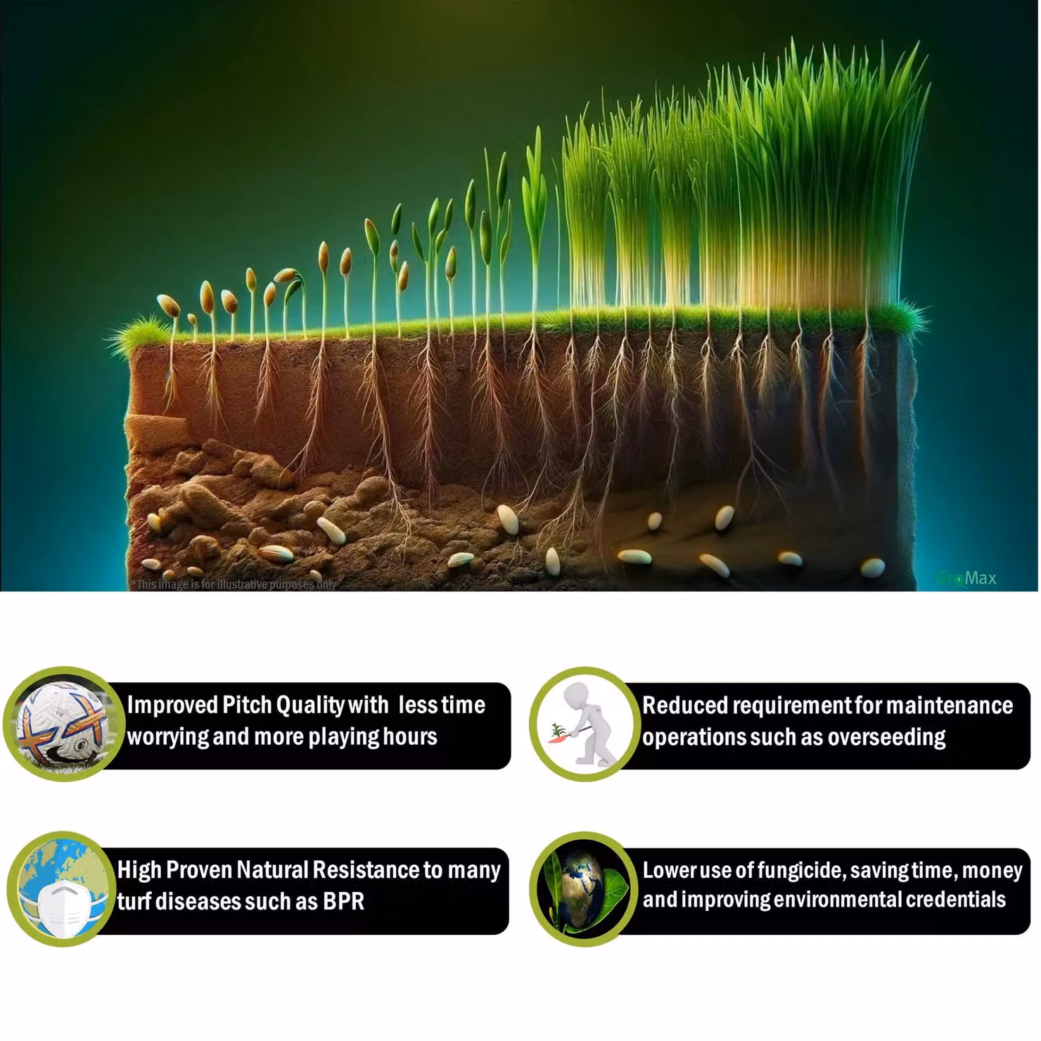 Pegdev ProGrow Fast-Growing High Density Disease Resistant and Drought Tolerant Lawn Seed, 2.5kg – 3