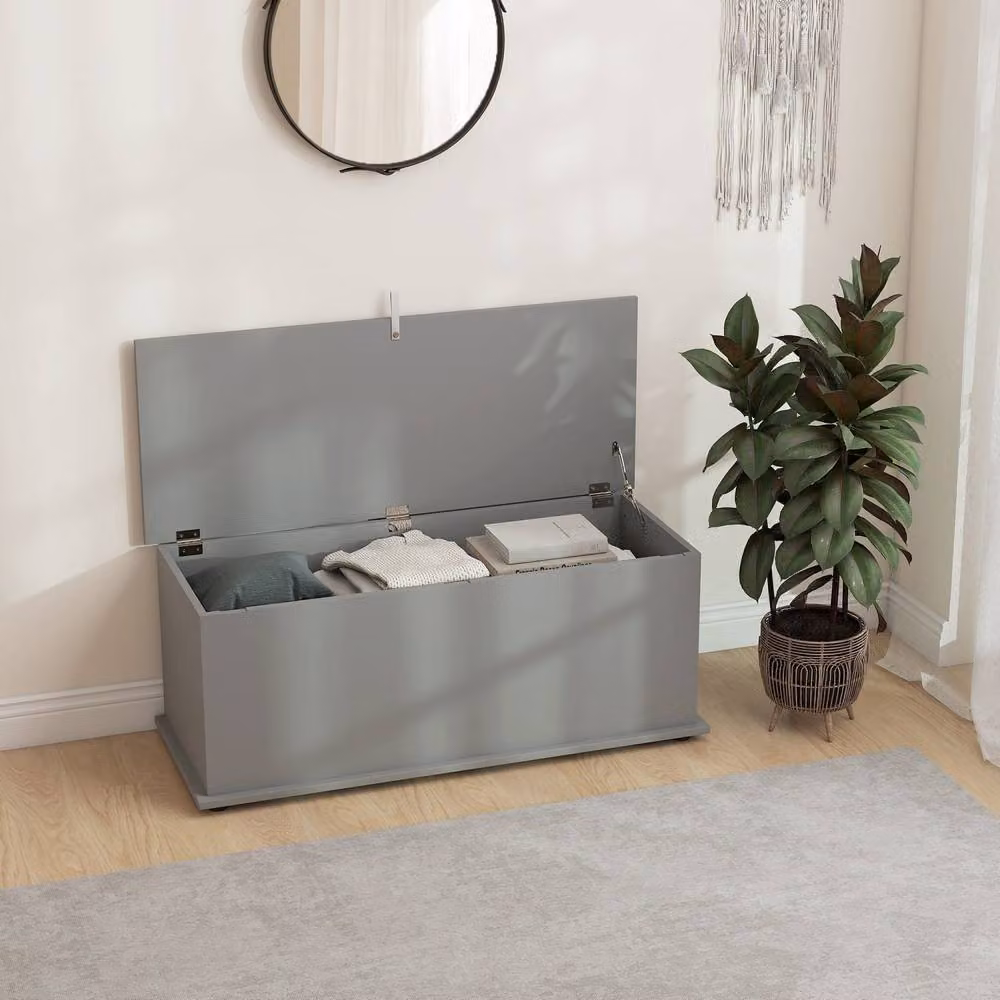 Wyld Haus Fito Vima Grey Particleboard Storage Trunk – 3