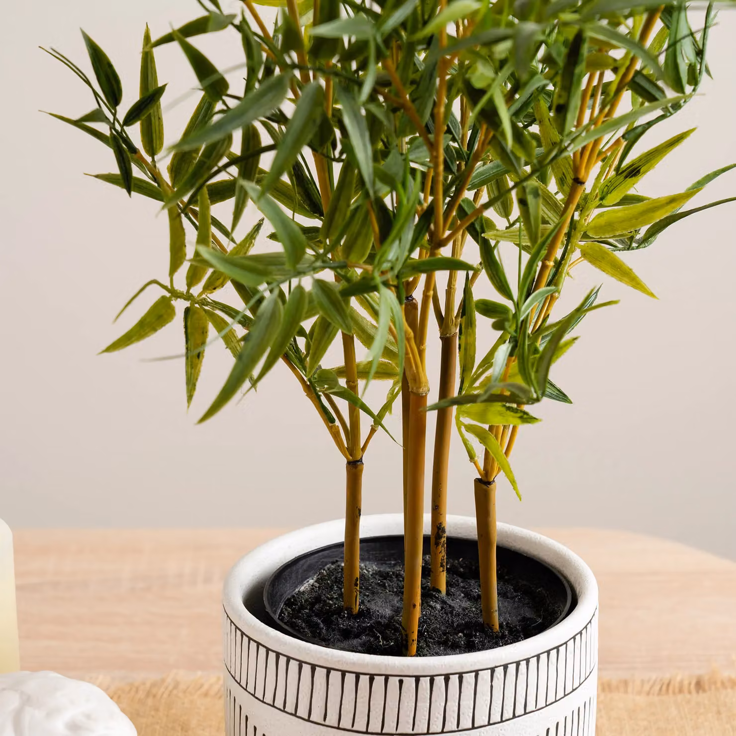 Scottish Everlastings Ltd 75cm Mini-leaf Bamboo Tree in Green and Black – 2