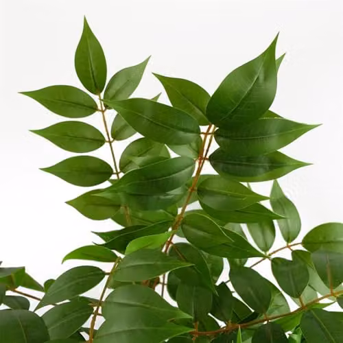 Leaf Design UK Toona Sinensis Artificial Potted Tree, Green, H 110 cm x W 60 cm x D 60 cm – 3