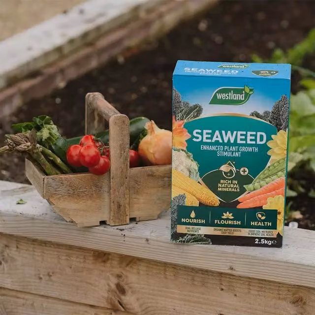 Westland Seaweed Enhanced Plant Tonic for Lawns, Vegetable Gardens and Ornamental Gardens, 2.5 kg – 5