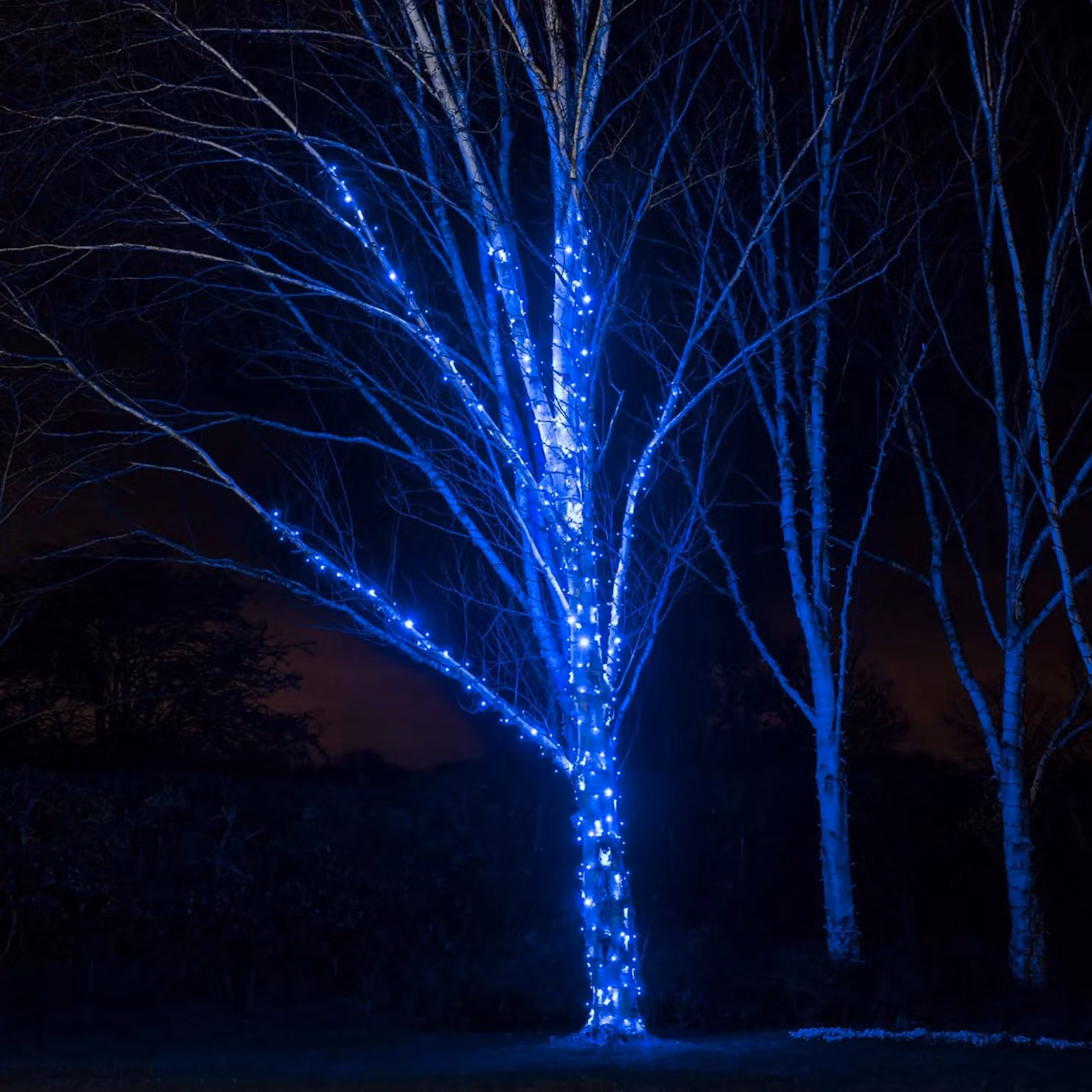 Pro Connect Blue LED Connectable String Lights with Black Cable, 5m