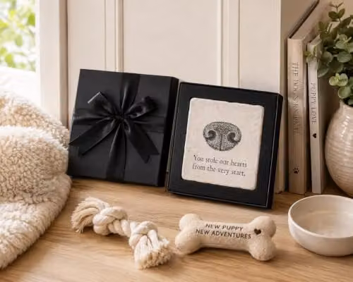 Purely Home Black Marble Flat Nosed Dog Coaster Gift Box Set – 2