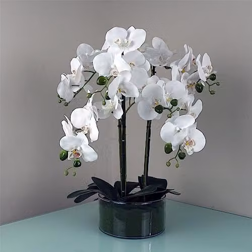 Leaf Design UK 50cm Artificial White and Green Orchid in a Glass Planter – 1