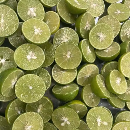 Thompson and Morgan Key Lime Citrus Fruit Plant in a 5 Litre Pot – 2