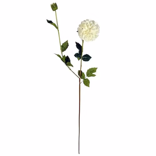 Leaf Pack of 6 Cream White Artificial Dahlia PomPom Flower Stems, Height: 75 cm – 2