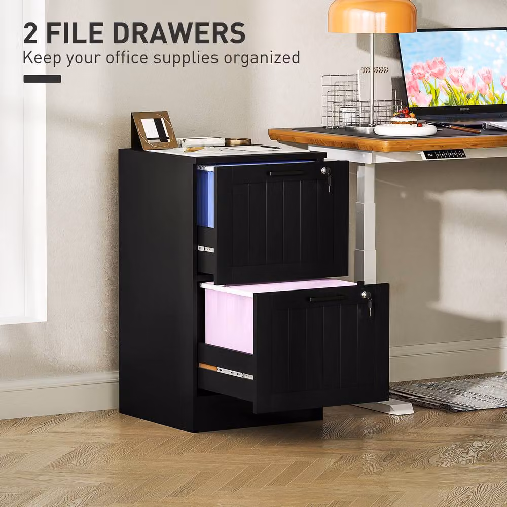 ERGOVEXA Lockable 2 Drawer Metal Filing Cabinet in Black – 5