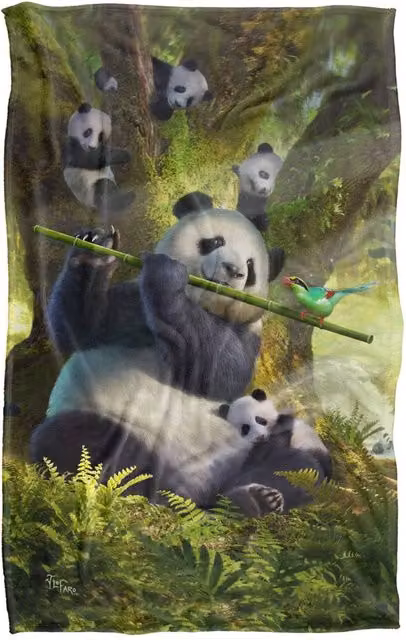 JQ Licensing Jlo Panda Family Flute Silky Touch Super Soft Fleece Throw Blanket, Multicolour, W/D/H: 91 x 147 cm – 6