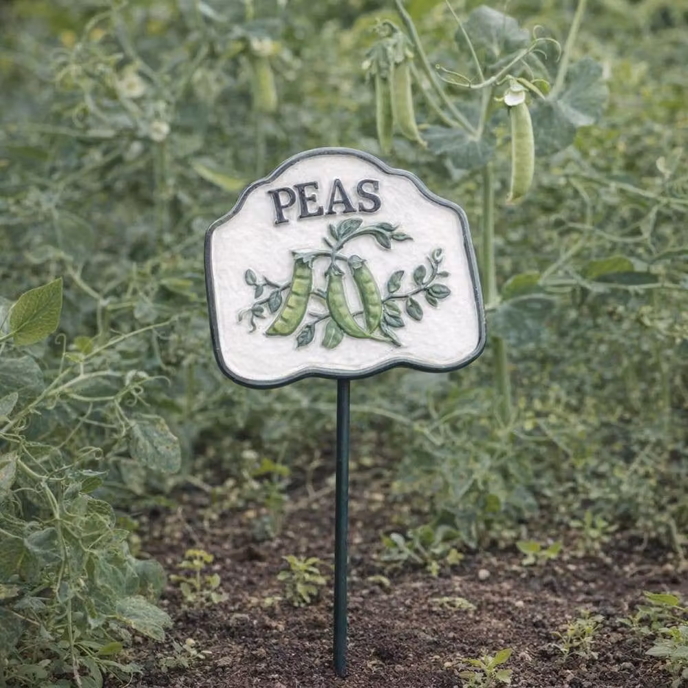 Gifts Direct 2 U Metal Vegetable Garden Stake Plant Sign for Peas, Multicolour – 3
