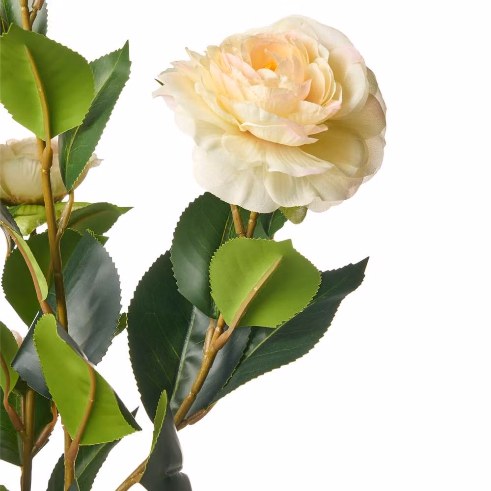 Wyld and Coco Green Artificial Potted Camellia Tabletop Plant, Height: 60 cm – 4