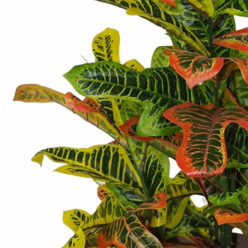 Artificial Leaf Codiaeum Multicoloured Potted House Plant in Orange, Black and Multicolour – 3