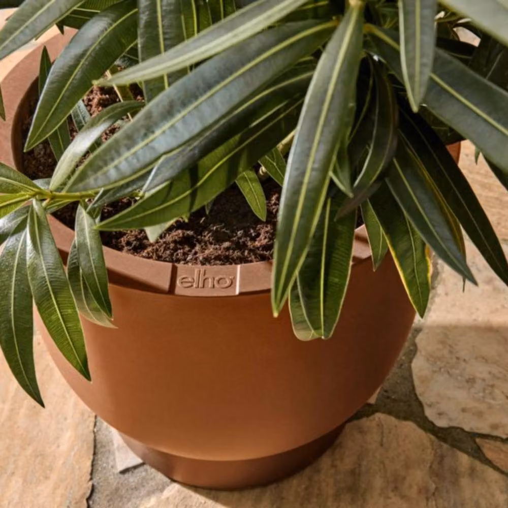 Elho Amber Coupe 41 Brown Plastic Indoor and Outdoor Planter – 3