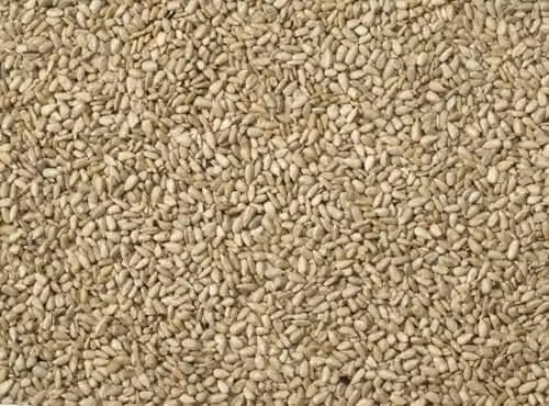 Johnston & Jeff Sunflower Hearts 4kg – 2