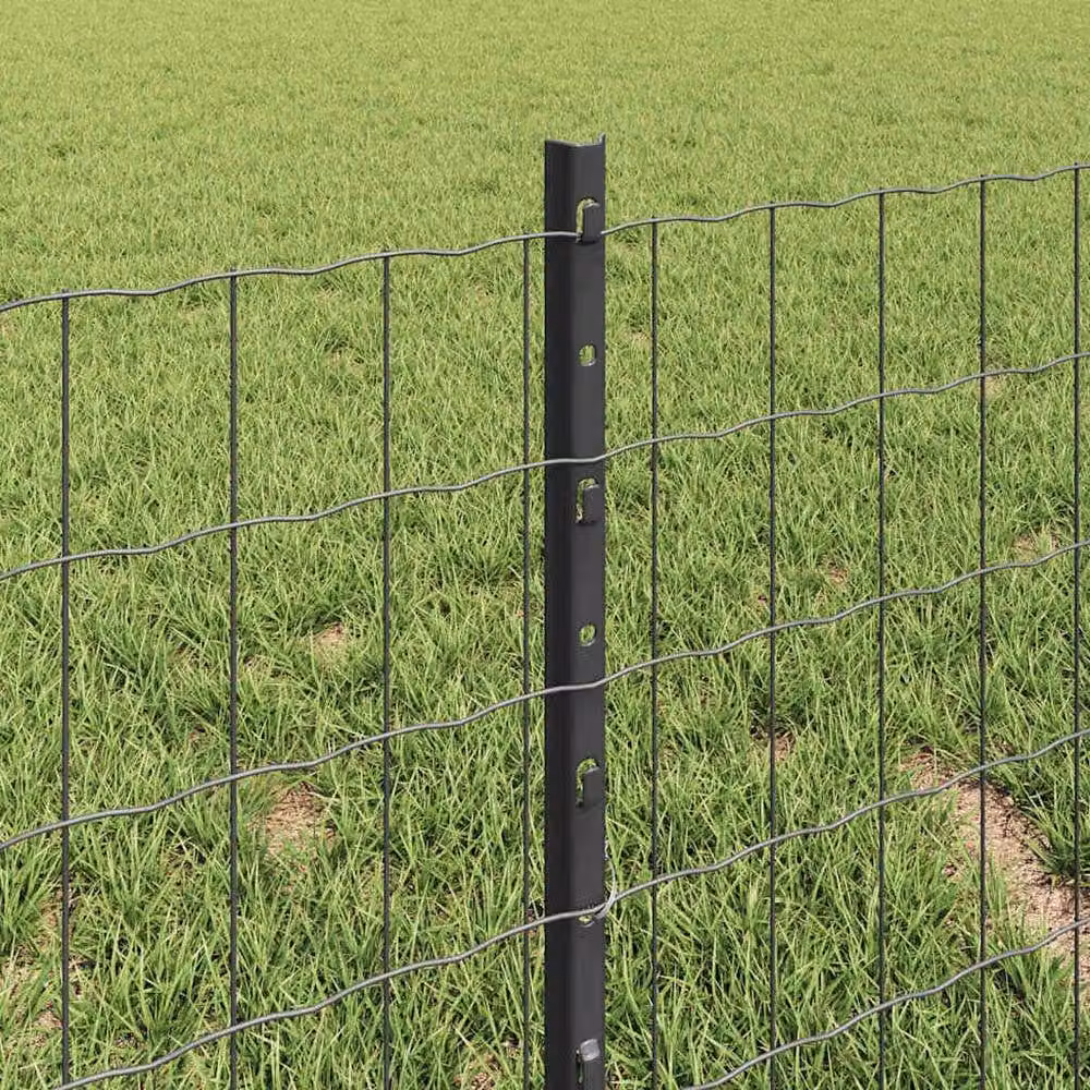 Berkfield Home Euro Fence Steel U-Profile Garden Fencing with 5 U-Posts, Grey, W: 10 m, H: 0.8 m – 2