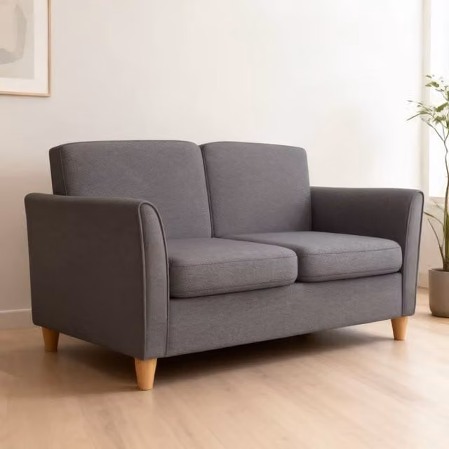 ERGOVEXA Compact 2 Seater Loveseat Sofa in Dark Grey with Wood Legs