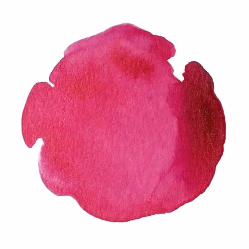 Winsor & Newton Professional Shellac Drawing Ink, Red, 14 ml – 2